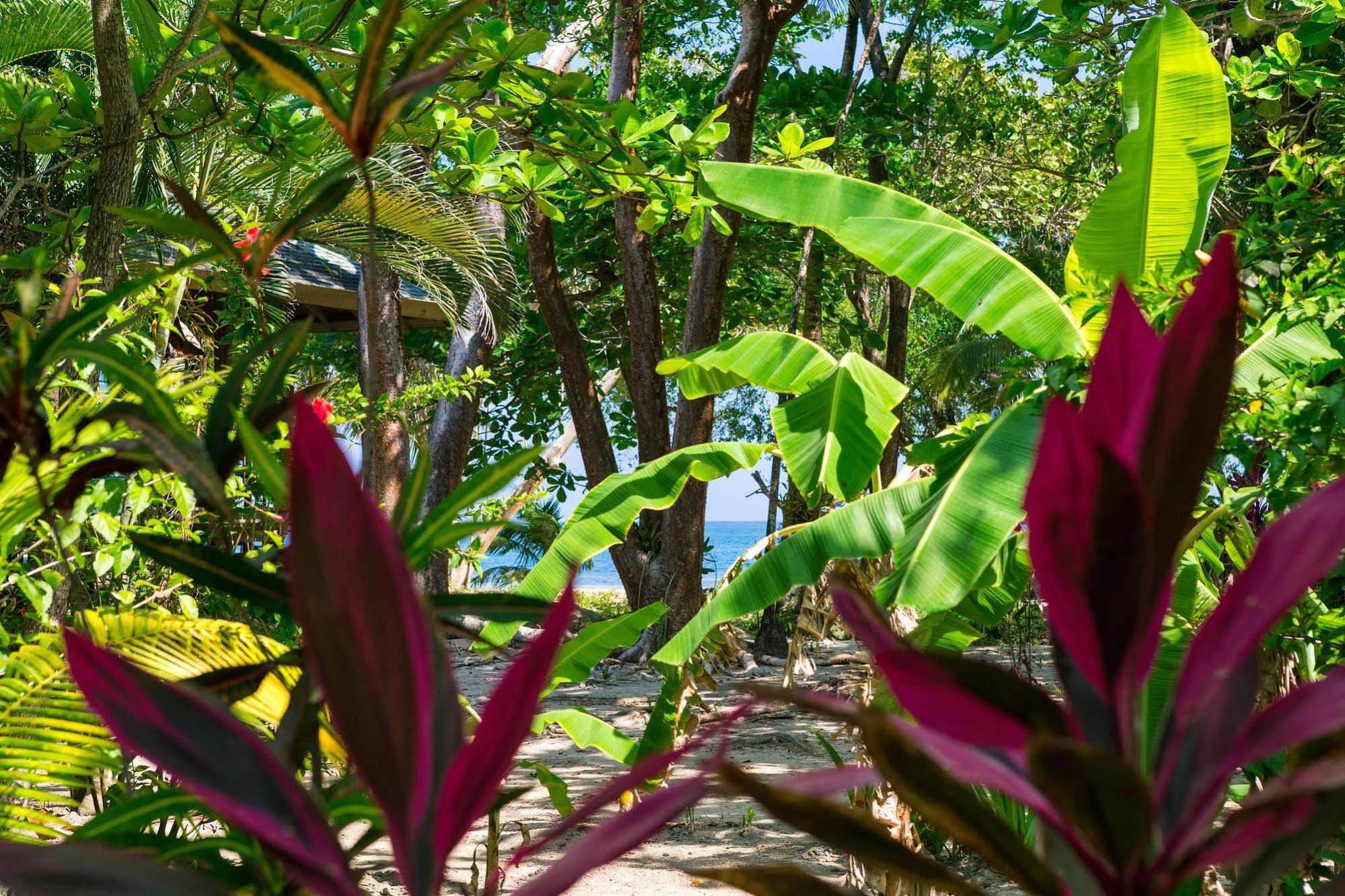 Casa Flores Palmetto Bay Exterior photo